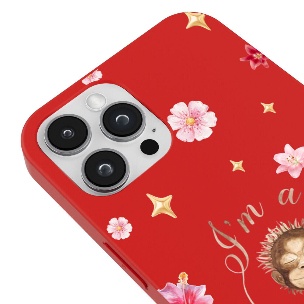 RenkliSilikonKırmızı