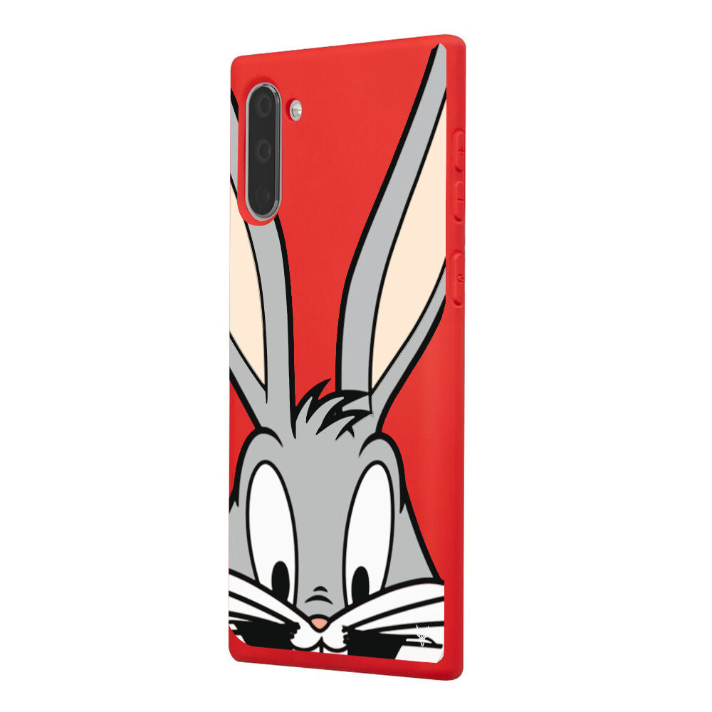 RenkliSilikonKırmızı